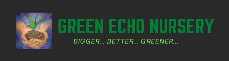 Green Echo Nursery Online Store